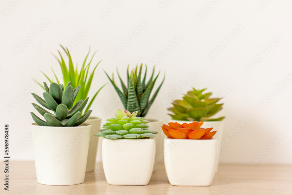 Indoor artificial plants, various succulents in pots. Succulents in white mini-pots. Ideas for home decoration.Copy space. Indoor artificial plants, various succulents in pots. Succulents in white mini-pots. Ideas for home decoration.Copy space.