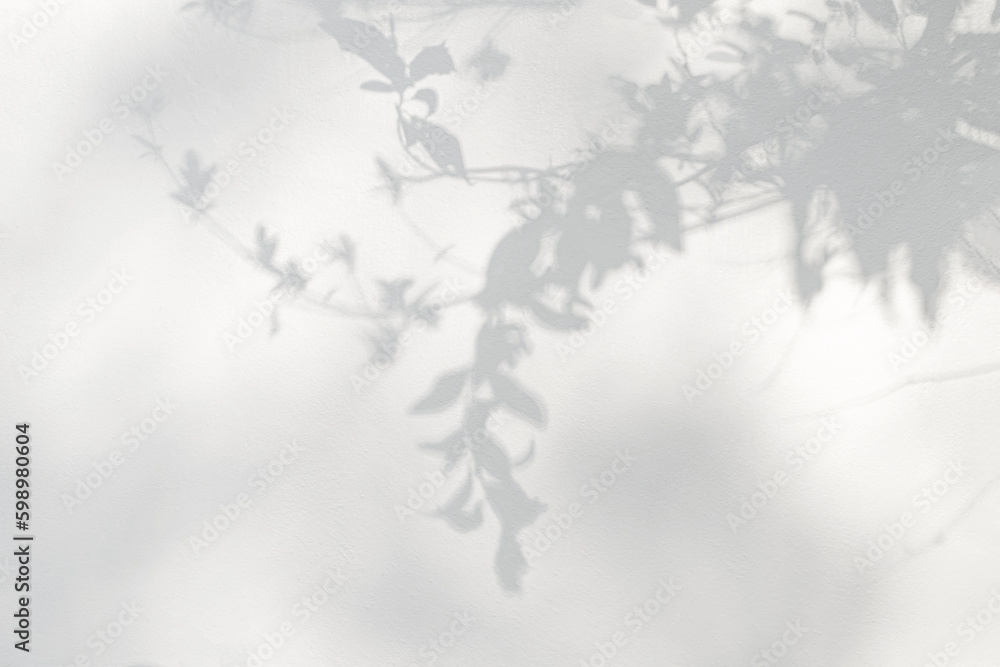 Leaf shadow and light on wall background. Nature tropical leaves tree branch plant shade sunlight on white wall for wallpaper, shadow overlay effect foliage mockup, graphic layout, wallpaper, design