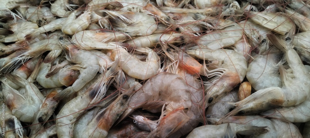 Pile of fresh prawns for sale in market Pile of fresh prawns for sale in market