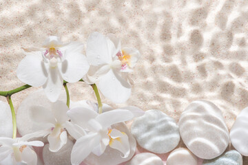 Wandcirkels Toilet Witte orchidee op zand met schaduw  © Alisa