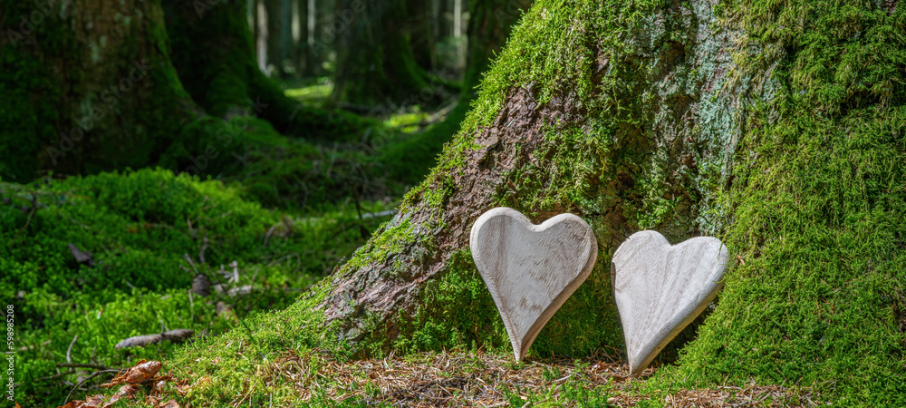 Εκτύπωση καμβά Funeral wooden Heart near a fir spruce tree