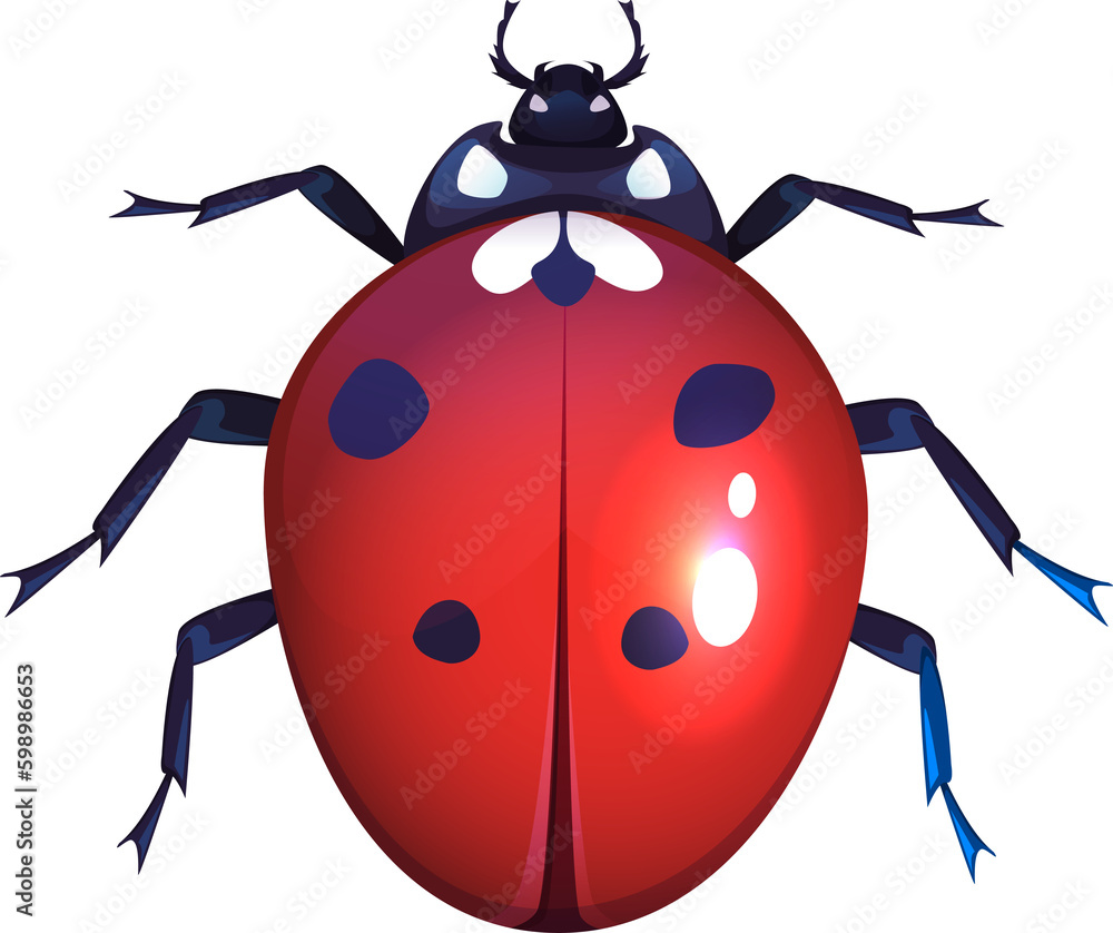Ladybug Ladybug