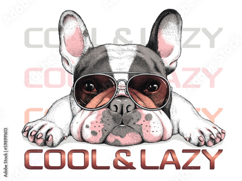 Cute french bulldog sketch. Vector illustration in hand-drawn style . Cool and lazy illustration. Image for printing on any surface