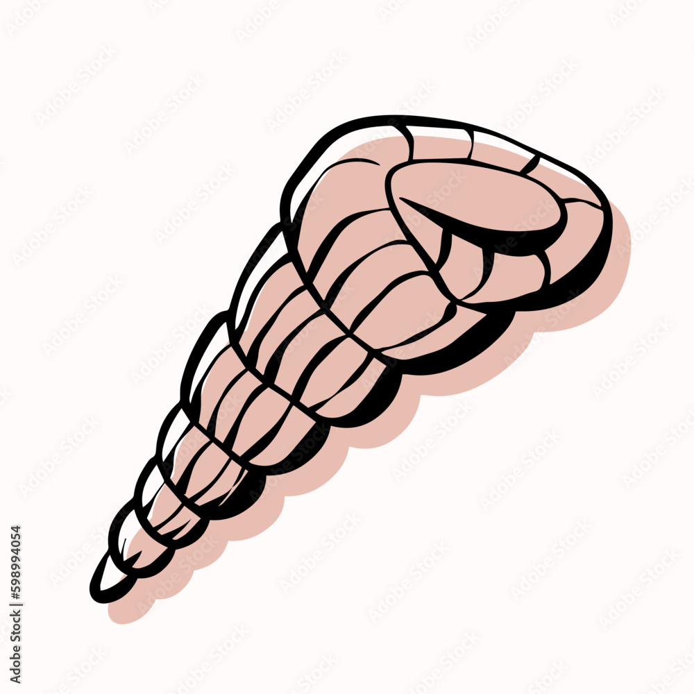 Shell with an outline in a trendy minimal style. Vector illustration of a shell clam for tattoo, design social media post and stories. Shell with an outline in a trendy minimal style. Vector illustration of a shell clam for tattoo, design social media post and stories.