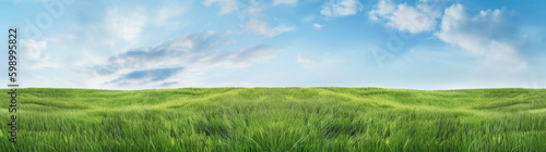 Panoramic natural landscape with green grass blue sky with clouds and curved horizon line. generative ai, Colorful summer panorama of combination of yellow and green fields.