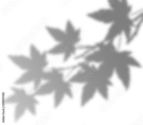 Shadow overlay effect transparent background. Abstract sunlight background with organic shadows from plants, leaves, and branches.