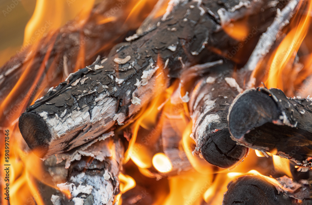 Fire on branches and firewood burning in coals. Fire on branches and firewood burning in coals.