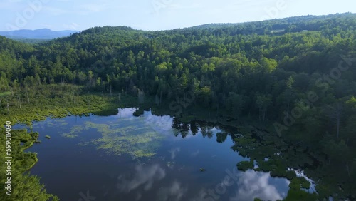 4K Aerial Drone Fly Toward Lake over Mountain Forest on Summer Day. Rise at end