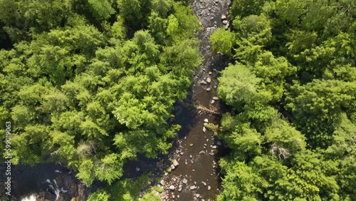 Top Down Aerial Drone View of Creek and Forest Trees. High sunlight