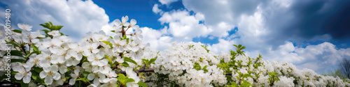 Blue Sky With White Clouds And Flowers Springtime Peaceful Sky. Generative AI