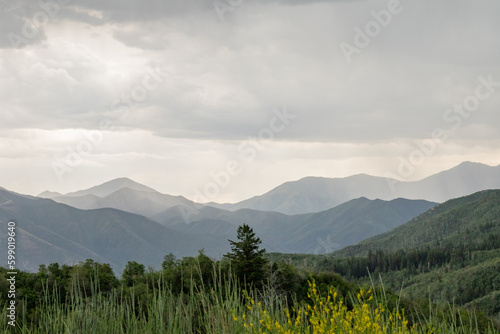 Provo Canyon Utah Park City Mountain View Summer