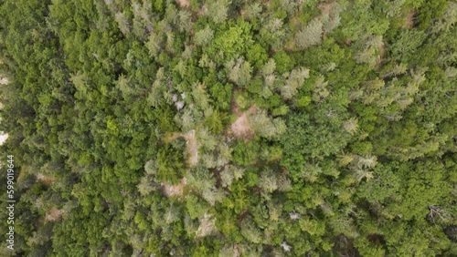 4K Aerial Drone Top Down view of coastal rocky terrain with pine trees, rocks, coastline, water visible