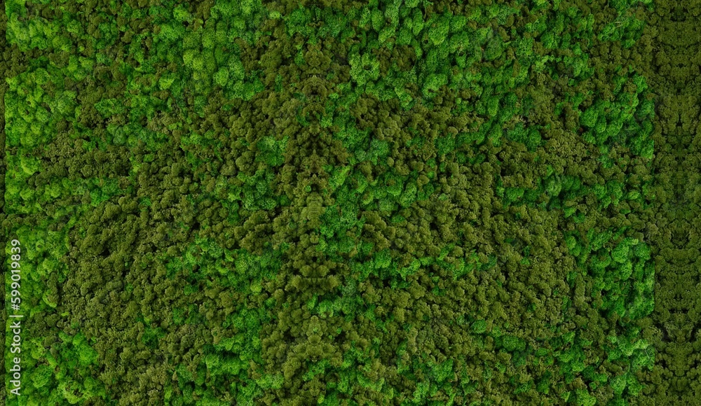 Variety of artificial plants in vertical garden, Natural background. Leaves plant wall texture design. Beautiful green leaves background. Garden and Green wall. Ecology. Variety of artificial plants in vertical garden, Natural background. Leaves plant wall texture design. Beautiful green leaves background. Garden and Green wall. Ecology.