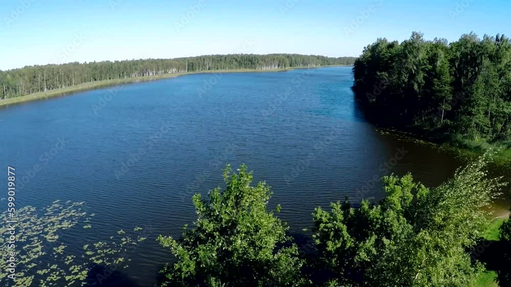 aerial drone shot of flying through the foliage of trees with a view of a beautiful lake aerial drone shot of flying through the foliage of trees with a view of a beautiful lake