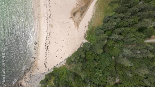 4K Aerial Drone Top Down view of sandy beach coast with pine trees and lagoon