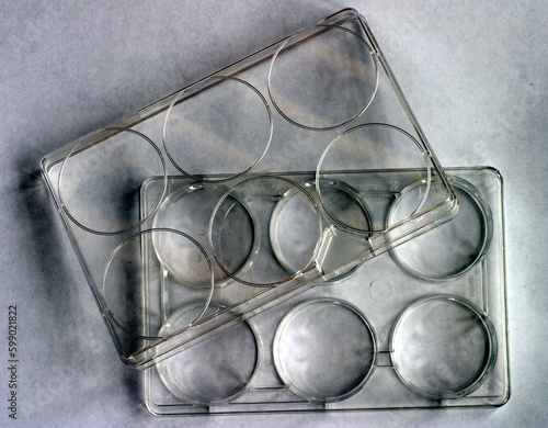 Plate and tubes for laboratory research photo