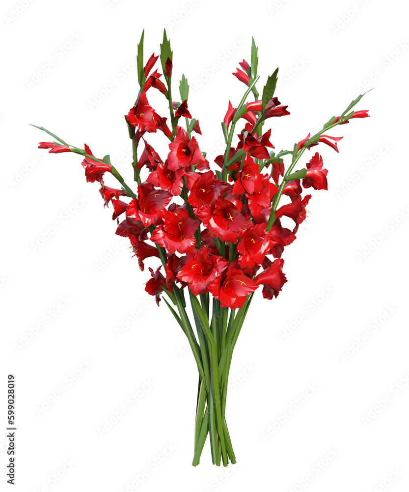 Naklejka premium Flower composition. Beautiful colorful spring flowers isolated on trasparent background. isolate, Mothers Day, Womens Day concept. Copy space, top view, flat lay.