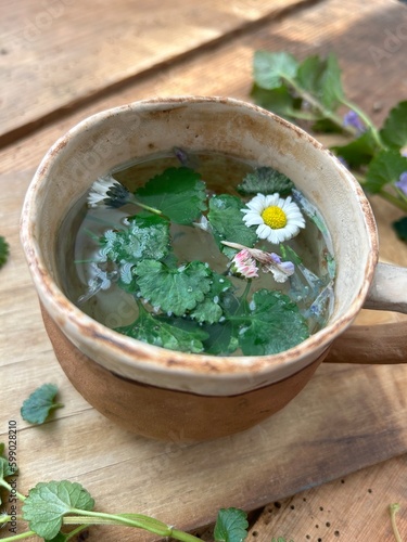 Gundermann Gundelrebe Tee Tasse Wildkräuter essbare Kräuter 