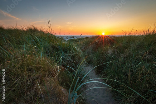 Fototapeta Naklejka Na Ścianę i Meble -  Sunset in the dunes of North Sea beach in St. Peter-Ording, Germany