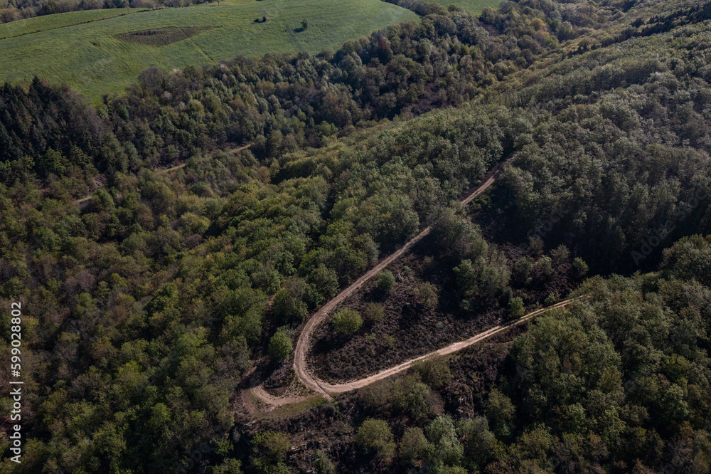 Aerial view of a curvy road in a forest Aerial view of a curvy road in a forest