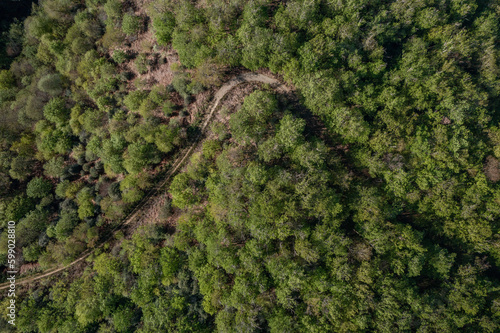Aerial view of a curvy road in a forest