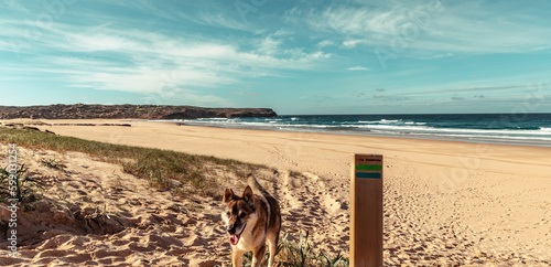 coastal Landscape  in the Natural Park of Southwest Alentejo and Costa Vicentina at the beach Bordeira
Nature Travel South portugal Vicentine Coast