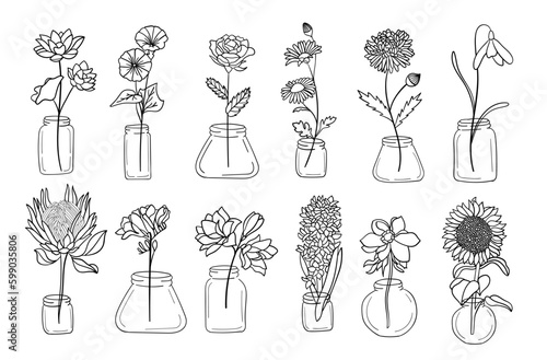 Realistic flower pot line art set. Perfect for illustrations.