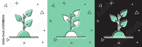 Set Volunteer team planting trees icon isolated on white and green, black background. Represents ecological protection, protecting plants and trees. Vector