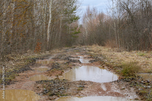 Large puddles on a broken forest road