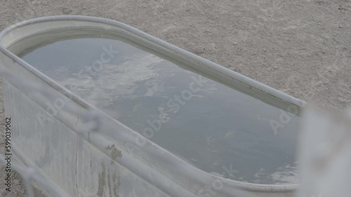 Water trough / Sony SLog3