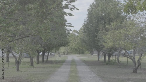 Long driveway leading to house / Sony SLog3