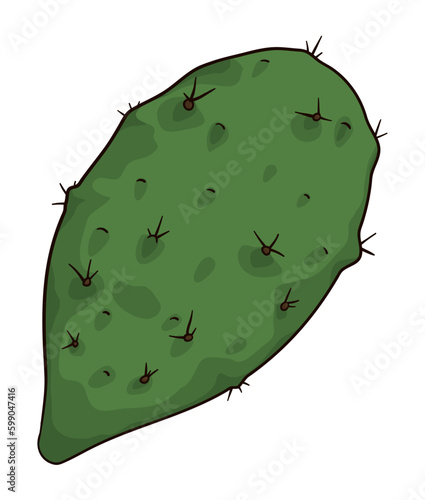 Nopal pad in cartoon style on white background, Vector illustration