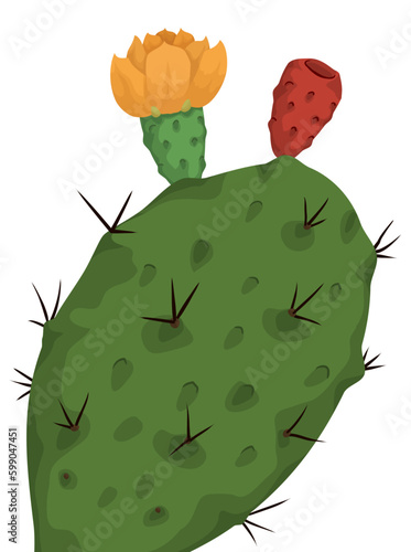 Close-up view of a nopal with flower and fruit, Vector illustration