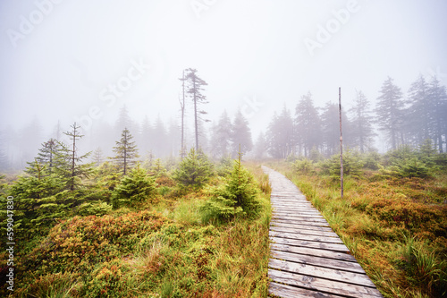 Mountain landscape in Jeseniky, view of the mountain range from the hiking trail on the top of small Jezernik from cernohorske saddle. A pathway for hikers through bog photo