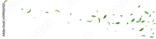 Forest Leaves Swirl Vector White Panoramic