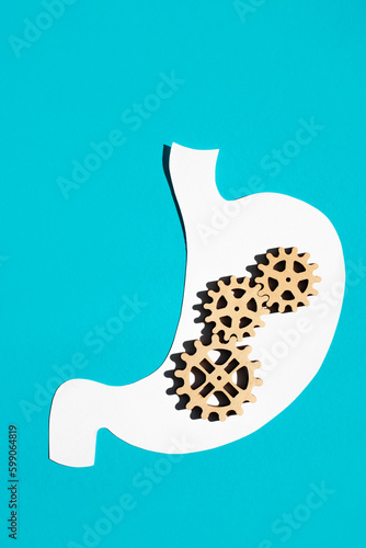 Paper stomach with clay bricks on a blue background. Therapy, healthcare and treatment concept. Copy space, top view Vertical image.