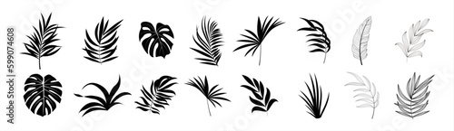 Fototapeta Tropical leaves vector. Set of palm leaves silhouettes isolated on white background. Vector illustration.