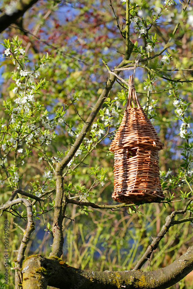 Fototapeta premium Willow basket bird house on tree