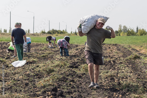 A cheerful,strong young village man carries a bag full of potatoes on his shoulders,against the background of a field,smiles and shows muscles,strength.In the background, farmers collect dug potatoes