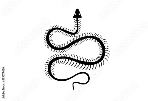 Snake Skeleton