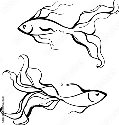 Image of a fish, contours. Painted abstract fish, beautiful lines. Tattoo. Vector fish for tattoos, signage, logos, colorings.