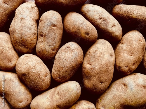 Full frame of russet potatoes