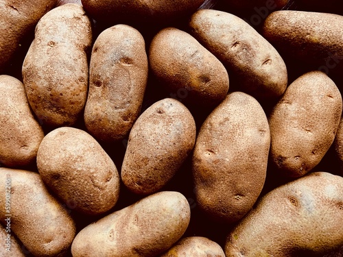 Obraz na płótnie Full frame of russet potatoes