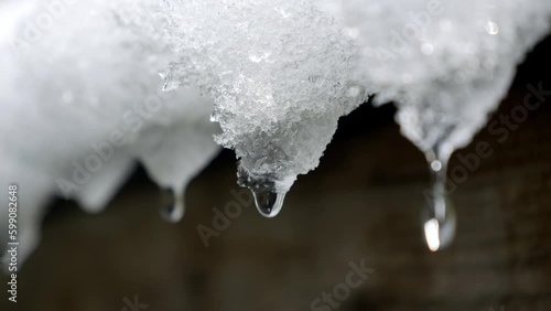 Closeup shot of water droplets falling from icicles on a roof, beauty of nature and the changing of the seasons. The scene captures the essence of a warm spring day and the arrival of milder weather photo