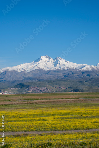 Erciyes mountain view in spring, snowy mountain peak and flowers