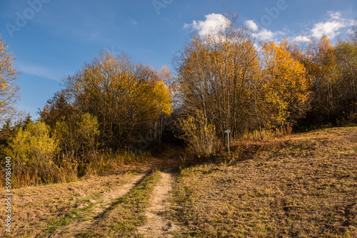 Autumn Scenery of Meadows in Rural Village Polomka  Slovakia