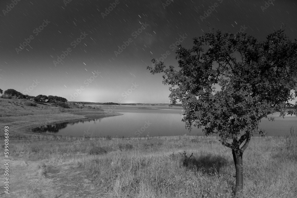 Fototapeta premium black and white long exposure of landscape with tree and lake behind, star trails in the sky 