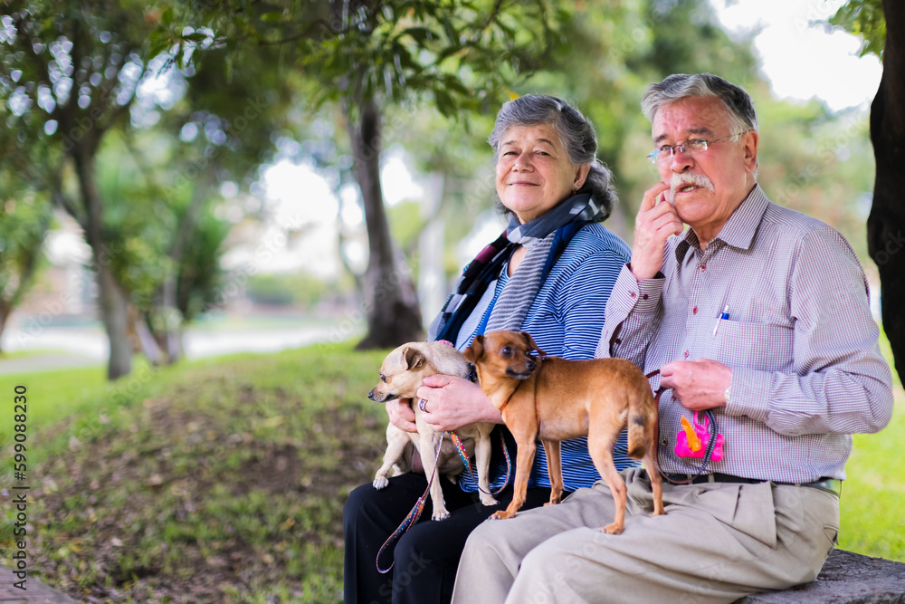 grandparents in the park sitting under a tree with their little dogs, half a day in the park, horizontal photo grandparents in the park sitting under a tree with their little dogs, half a day in the park, horizontal photo