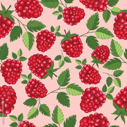 Raspberry seamless pattern background , red raspberry repeat pattern design