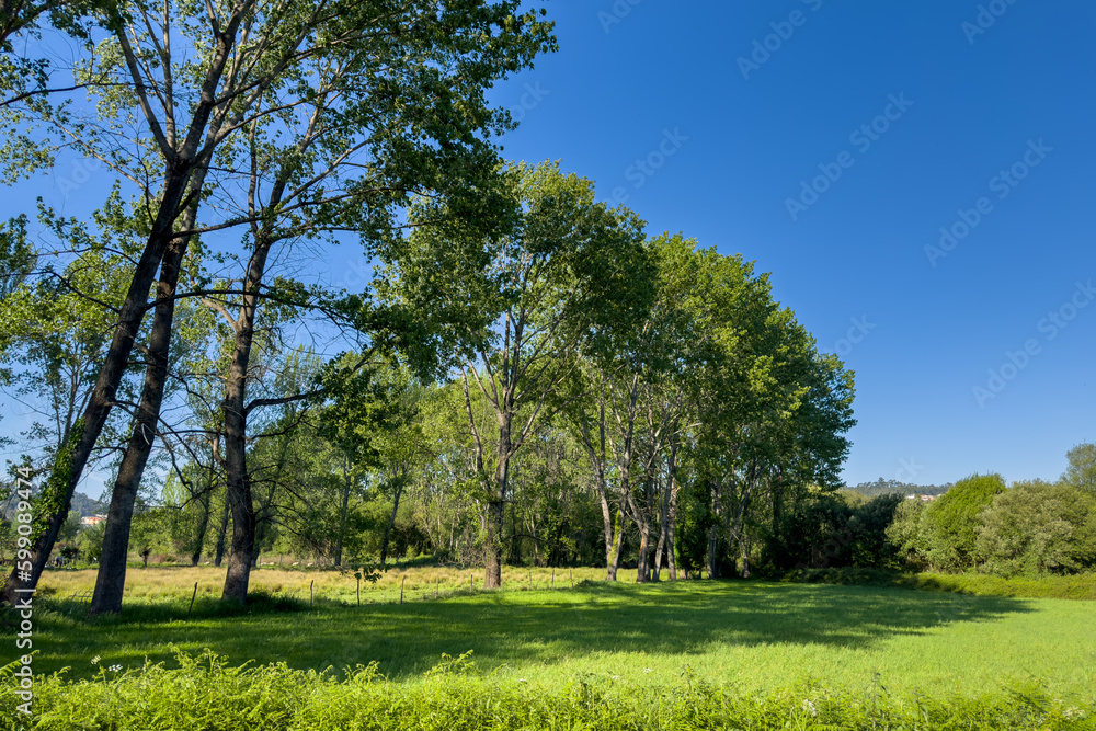 Lanscape view from the wooden pathway in Fiaes